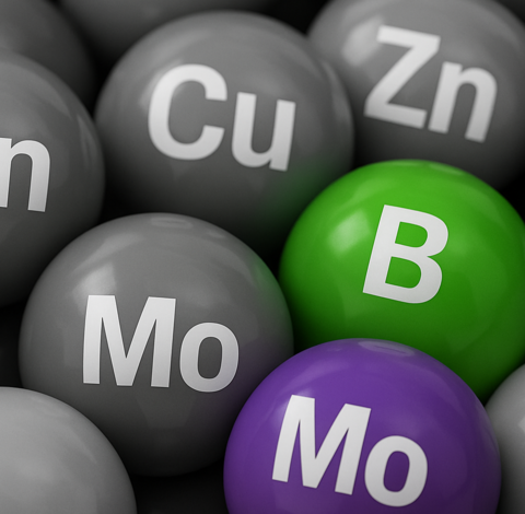 Synthesis-B-Mo